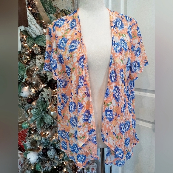 Salon Studio Other - Salon Studio Coverup